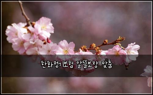 한화정기보험 알뜰보장  맞춤