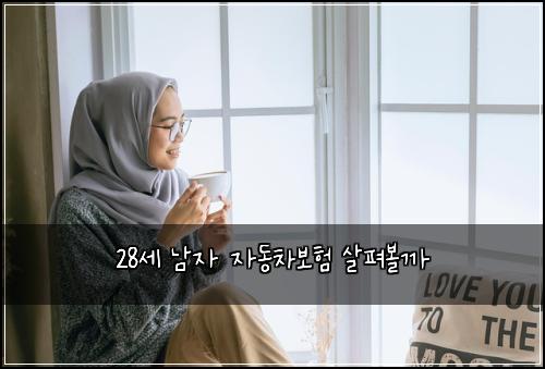 28세 남자 자동차보험 살펴볼까 