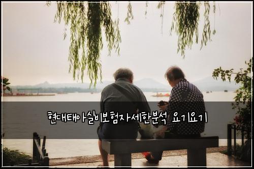 현대태아실비보험자세한분석 요기요기