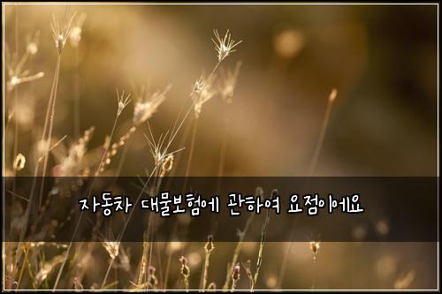 자동차 대물보험에 관하여 요점이에요