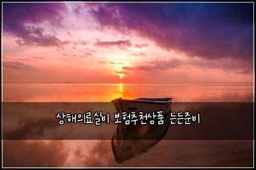 상해의료실비 보험추천상품 든든준비
