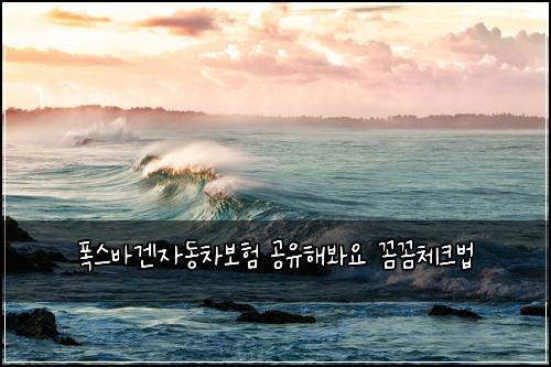 폭스바겐자동차보험 공유해봐요  꼼꼼체크법