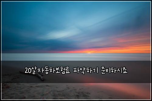20살자동차보험료 파악하기 준비하시죠