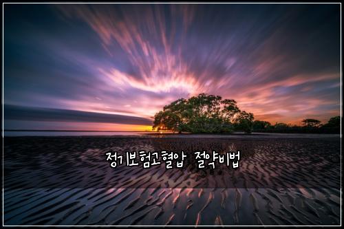 정기보험고혈압 절약비법