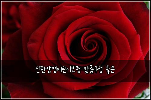신한생명어린이보험 맞춤구성  좋은