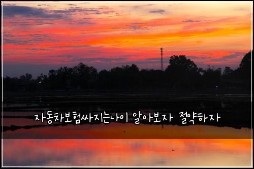 자동차보험싸지는나이 알아보자 절약하자