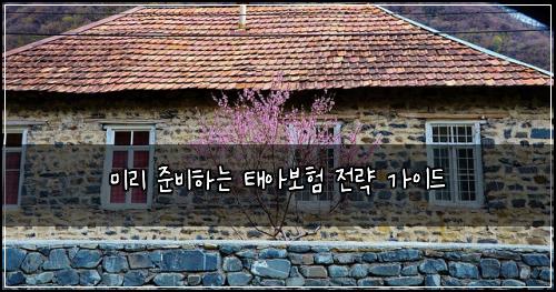 미리 준비하는 태아보험 전략 가이드