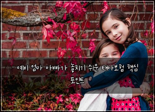 예비 엄마 아빠가 놓치기 쉬운 태아보험 핵심 포인트
