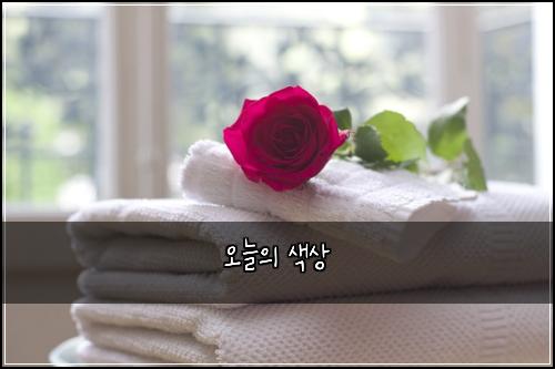 오늘의 색상