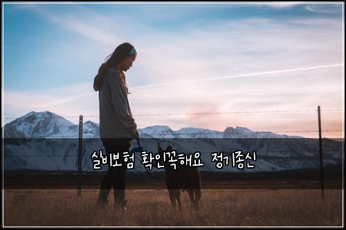 실비보험 확인꼭해요  정기종신