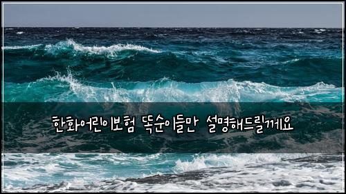 한화어린이보험 똑순이들만  설명해드릴께요