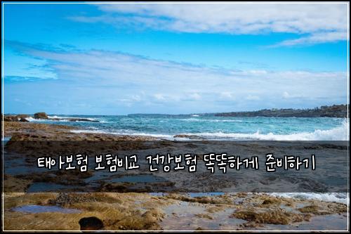 태아보험 보험비교 건강보험 똑똑하게 준비하기