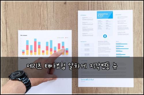 메리츠 태아보험 알차게  지각변동 뉴