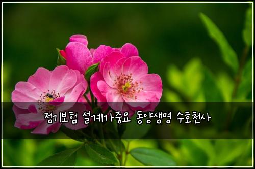 정기보험 설계가중요  동양생명 수호천사