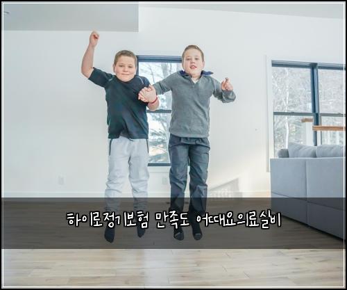 하이로정기보험 만족도  어때요의료실비