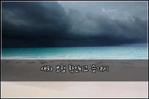 ์์ฐจ ๋ณดํ ํ์ธ๋น๊ต ์น๊ณ์