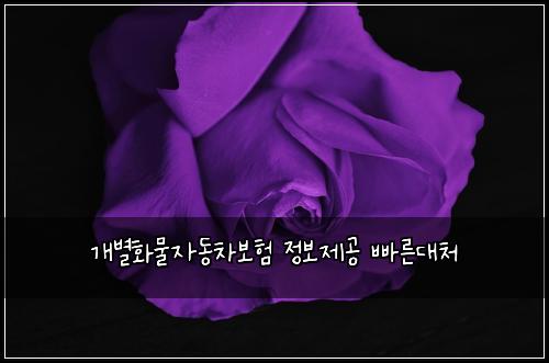 ๊ฐ๋ณํ๋ฌผ์๋์ฐจ๋ณดํ ์ ๋ณด์ ๊ณต ๋น ๋ฅธ๋์ฒ