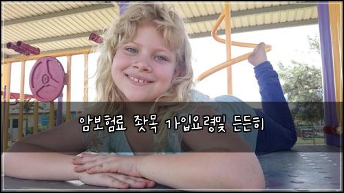 암보험료 좟목 가입요령및 든든히
