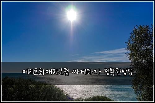 메리츠화재차보험 싸게하자  정확한방법