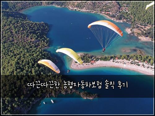 따끈따끈한 농협자동차보험 솔직 후기