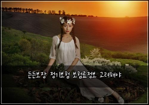 든든보장 정기보험 보험료정보  고려해야