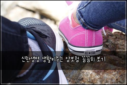 신한생명 생활비주는 암보험 꼼꼼히 보기