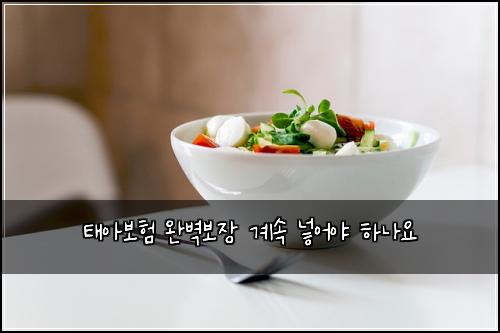 태아보험 완벽보장  계속 넣어야 하나요