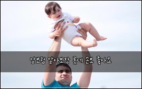์๋ณดํ ์์๋ณด์ฅ ๋กฏ๋ฐ ์๋ณด ์ข์์