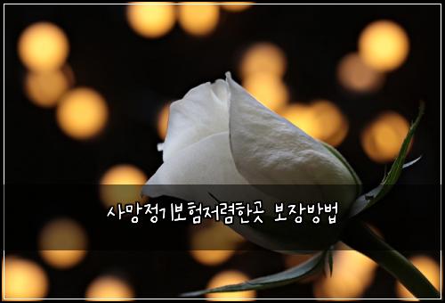 사망정기보험저렴한곳 보장방법