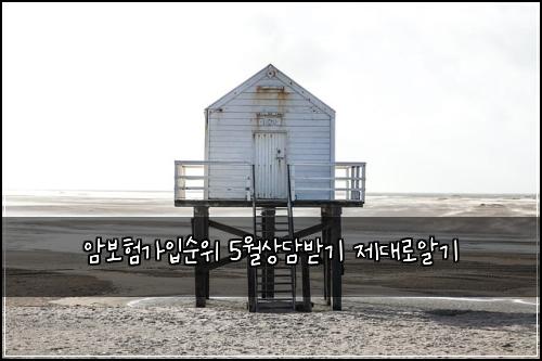 암보험가입순위 5월상담받기 제대로알기