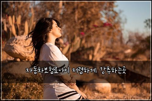 자동차보험료나이 저렴하게 강추하는곳