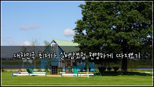 대한민국 최저가 실버암보험 현명하게 따져보기