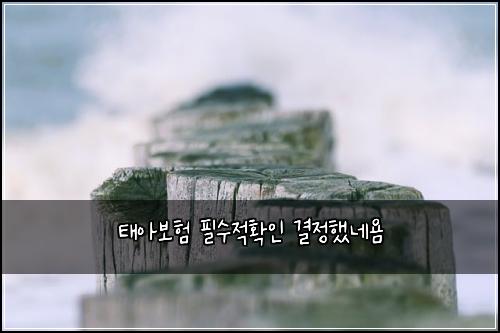 태아보험 필수적확인  결정했네욤