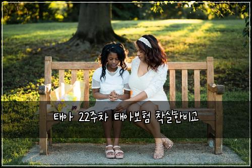 태아 22주차 태아보험 착실한비교 