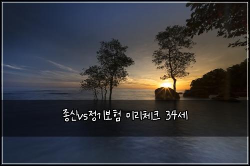 종신vs정기보험 미리체크  34세