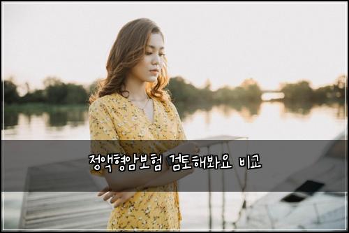 ์ ์กํ์๋ณดํ ๊ฒํ ํด๋ด์ ๋น๊ต
