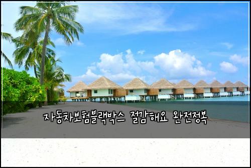 자동차보험블랙박스 절감해요 완전정복