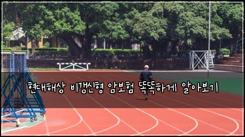 현대해상 비갱신형 암보험 똑똑하게 알아보기