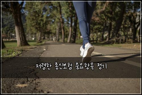 저렴한 종신보험 중요항목  정기