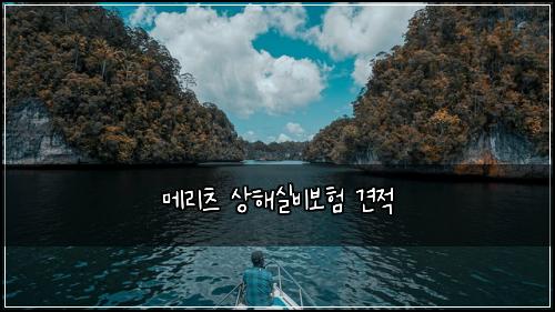 메리츠 상해실비보험 견적 