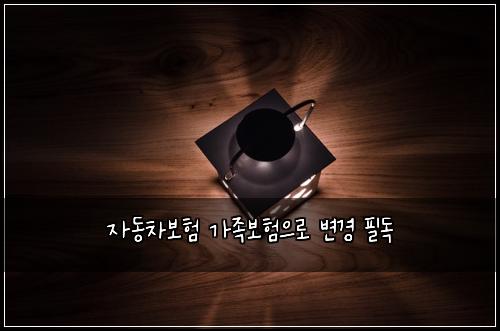 자동차보험 가족보험으로 변경 필독