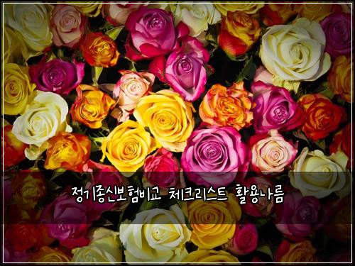 정기종신보험비교 체크리스트 활용나름