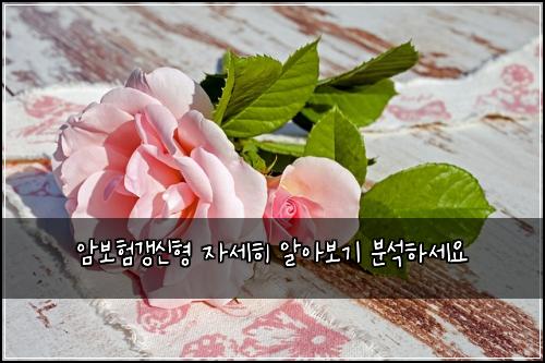 ์๋ณดํ๊ฐฑ์ ํ ์์ธํ ์์๋ณด๊ธฐ ๋ถ์ํ์ธ์