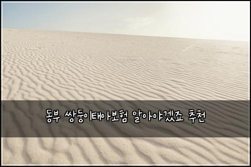 ๋๋ถ ์๋ฅ์ดํ์๋ณดํ ์์์ผ๊ฒ ์ฃ ์ถ์ฒ