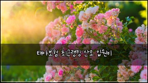 태아보험 최근랭킹  산모 입원비