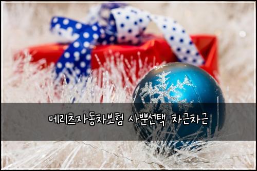 ๋ฉ๋ฆฌ์ธ ์๋์ฐจ๋ณดํ ์ฌ๋ฟ์ ํ ์ฐจ๊ทผ์ฐจ๊ทผ