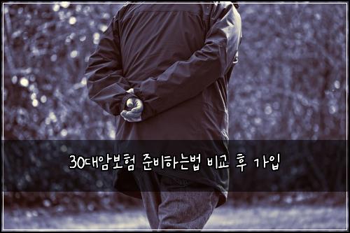 30대암보험 준비하는법  비교 후 가입