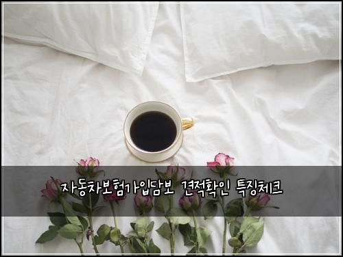 자동차보험가입담보 견적확인 특징체크