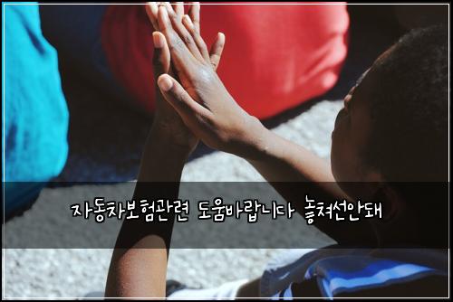 자동차보험관련 도움바랍니다 놓쳐선안돼