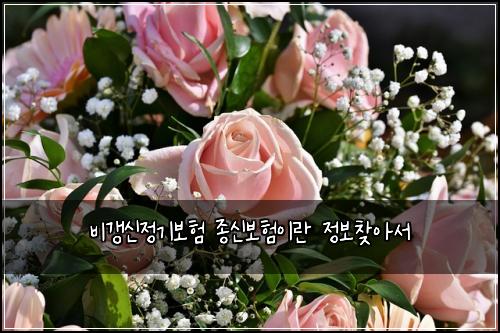 ๋น๊ฐฑ์ ์ ๊ธฐ๋ณดํ ์ข
์ ๋ณดํ์ด๋ ์ ๋ณด์ฐพ์์